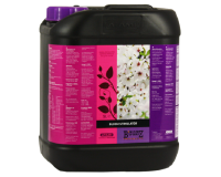 Atami B-Cuzz Bloom Stimulator 5 L