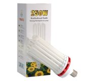 CFL 250 W Bloom 2700 K