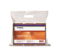 Plagron Cocos Brix 6 pcs