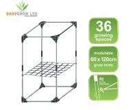 Grow Net 