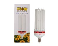 CFL 250 W Bloom 2700 K