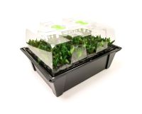 Nutriculture X-Stream Propagator 80