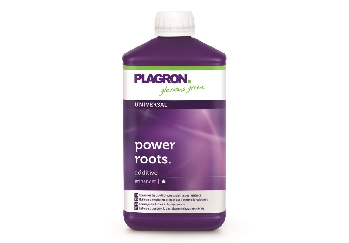 Plagron Power Roots 1 L