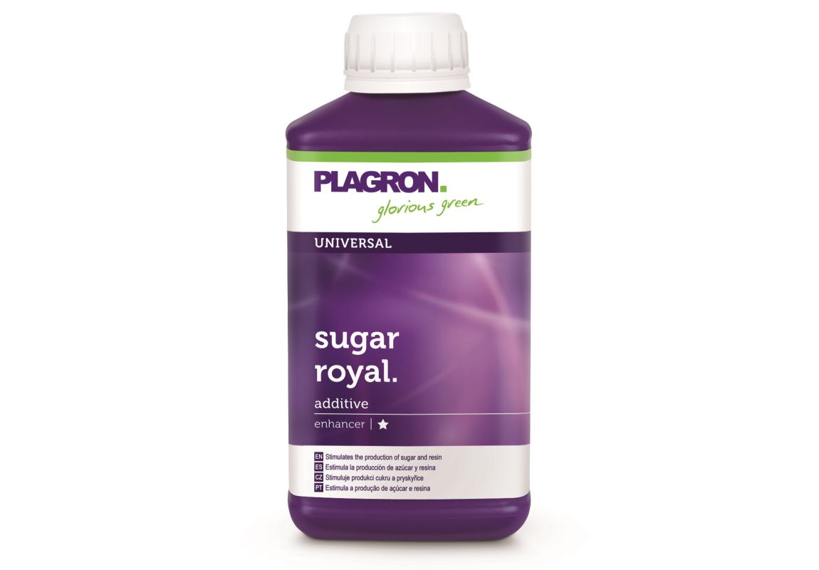 Plagron Sugar Royal 250 ml