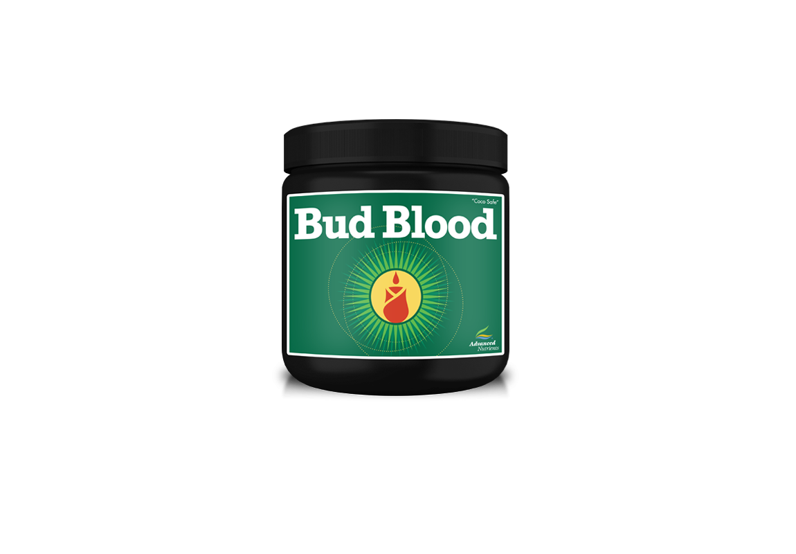 Bud Blood Powder 300 G