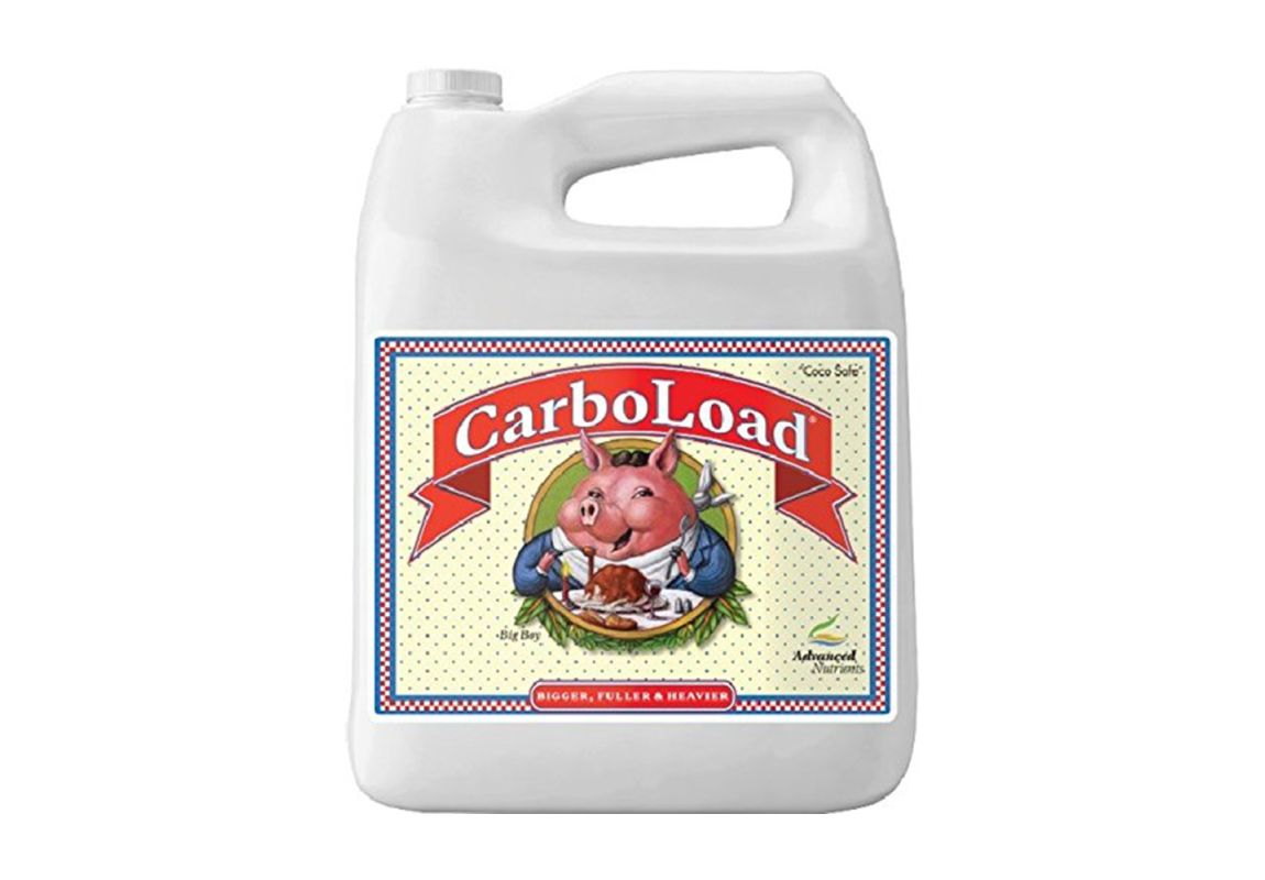 CarboLoad 10 L