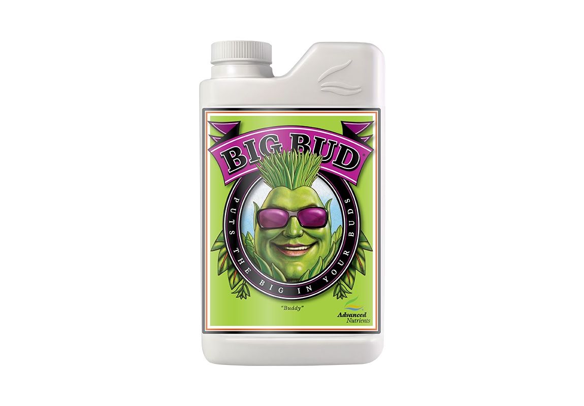 Big Bud  500 ml