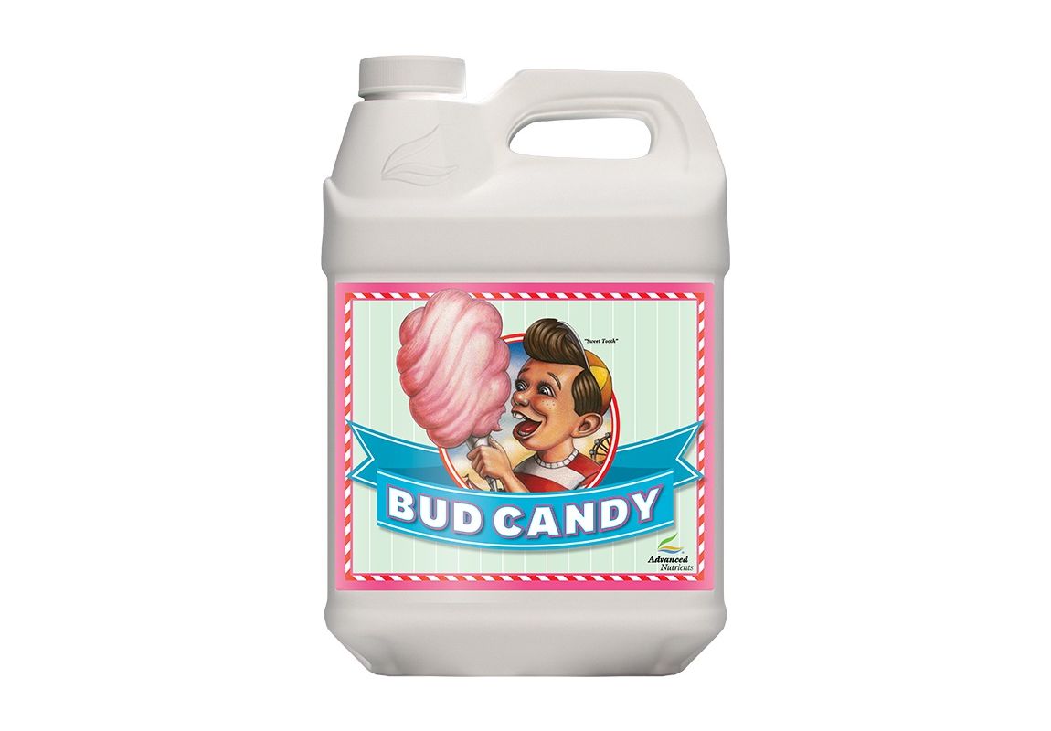 Bud Candy 4 L