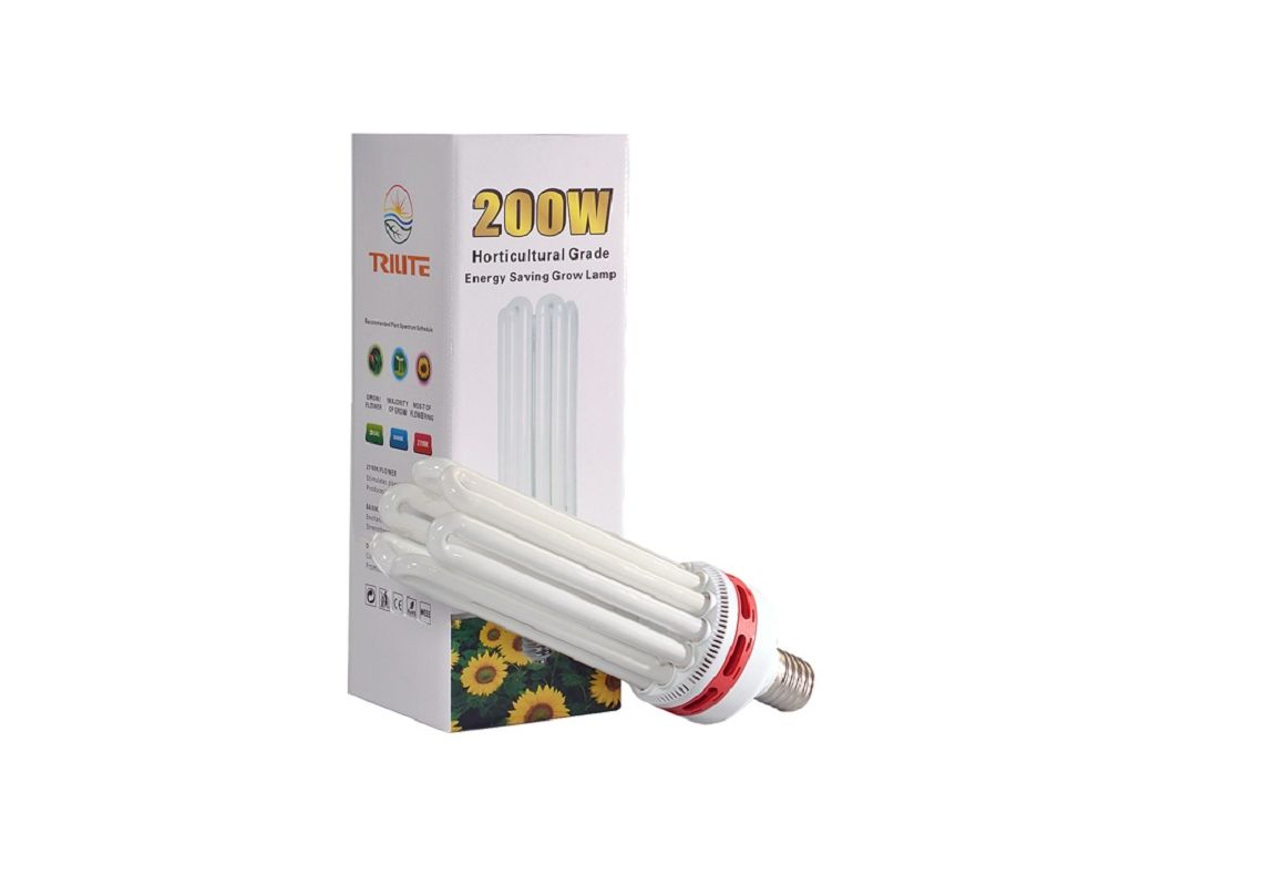 CFL 200 W Bloom 2700 K