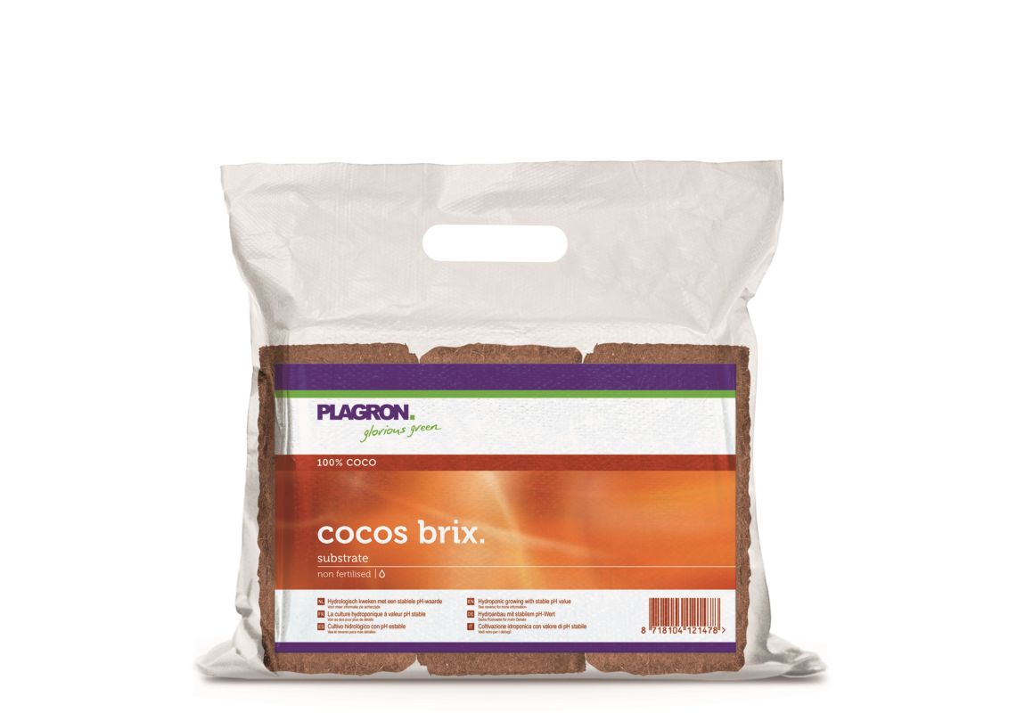 Plagron Cocos Brix 6 pcs