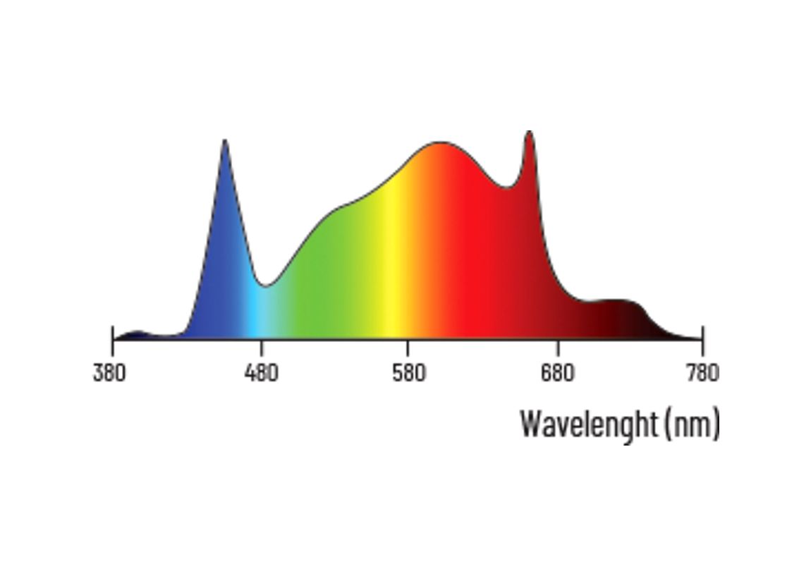 Lumatek ATS 300 W LED