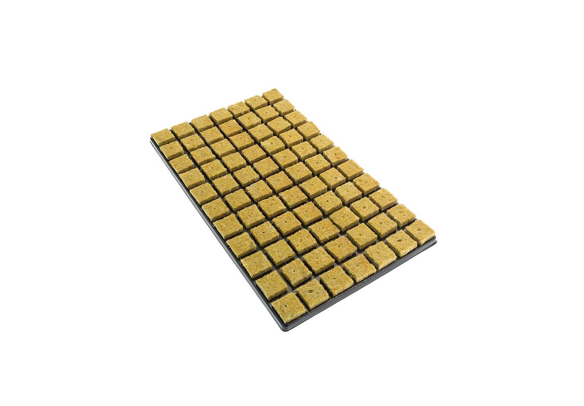 Rockwool Cubes Cultilene - Tray 77 pcs