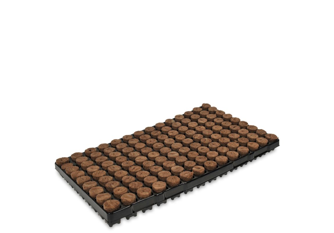 Rockwool Seedbed Tray - 126 Units