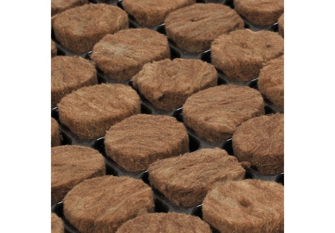 Rockwool - Seedbed Tray  84 Units - 11 pcs