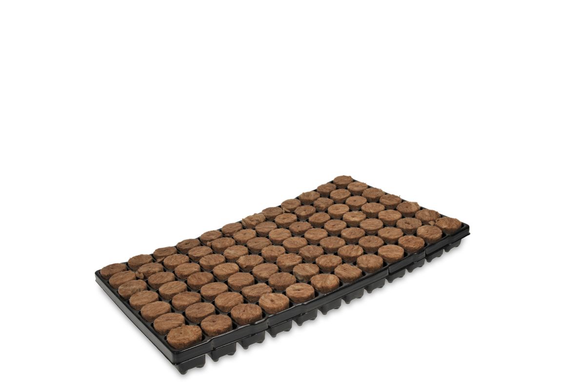 Rockwool Seedbed Tray - 84 Units