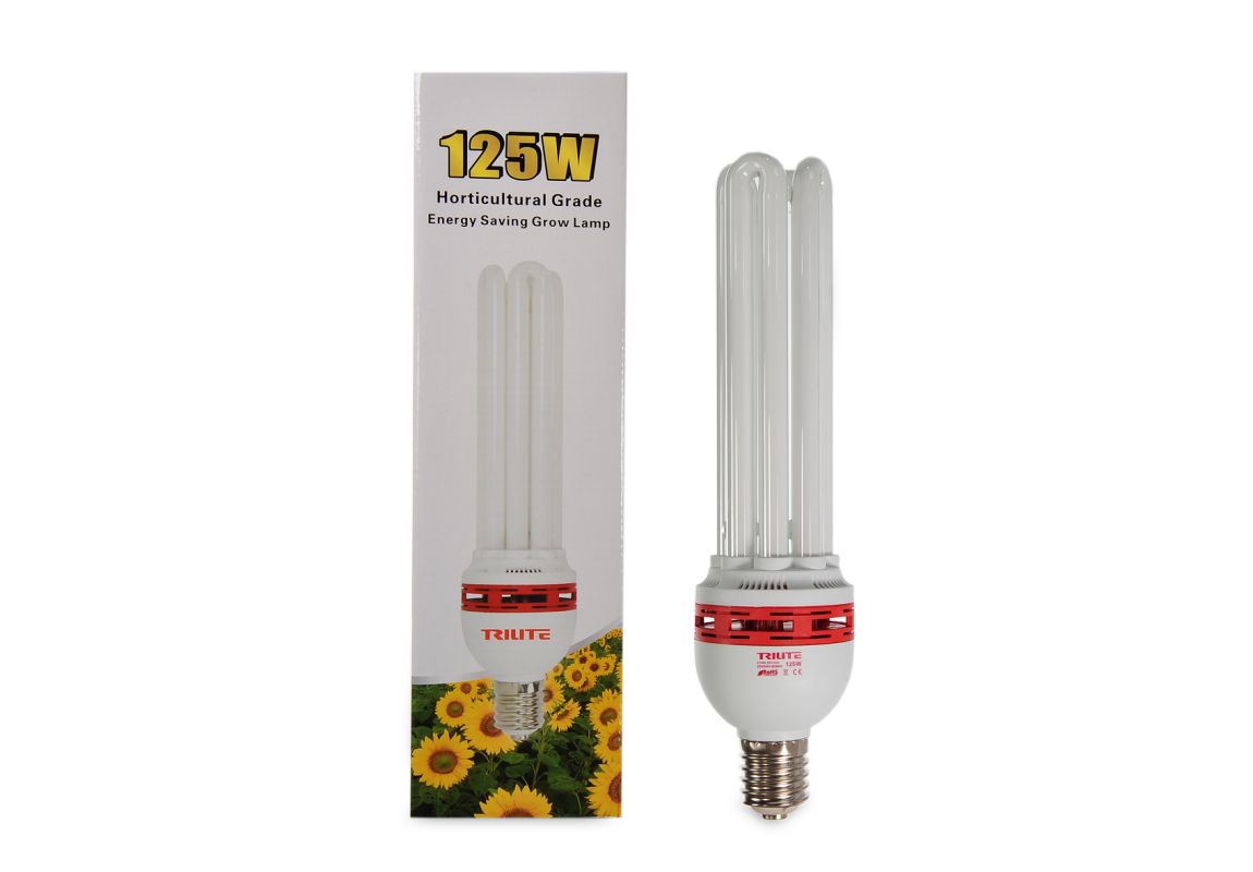 CFL 125 W Bloom 2700 K