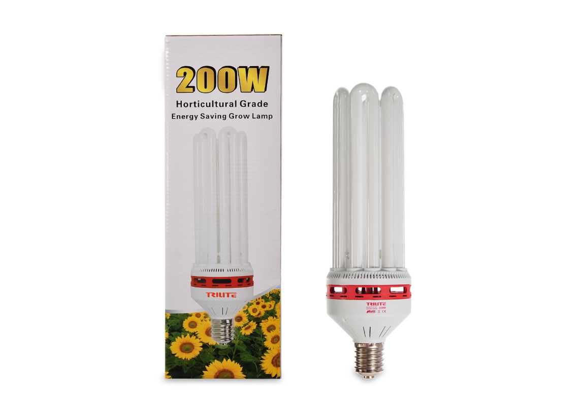 CFL 200 W Bloom 2700 K