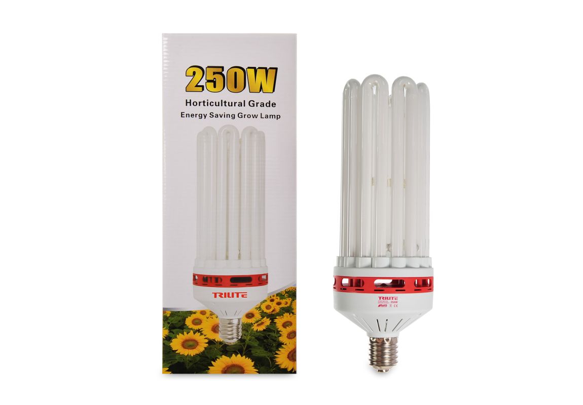 CFL 250 W Bloom 2700 K