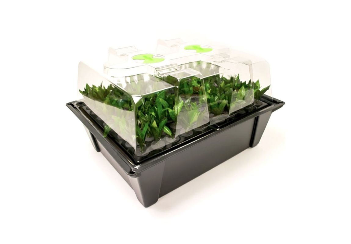 Nutriculture X-Stream Propagator 80