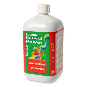 Growth Bloom Excellarator 1 L