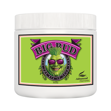 Big Bud Powder 500 G