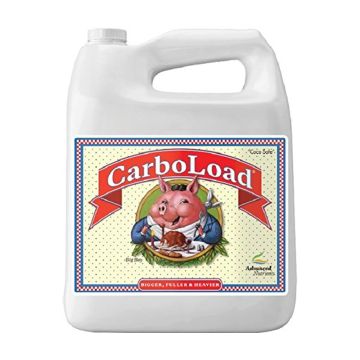 CarboLoad 5 L