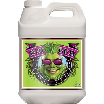 Advanced Nutrients Big Bud 10 L