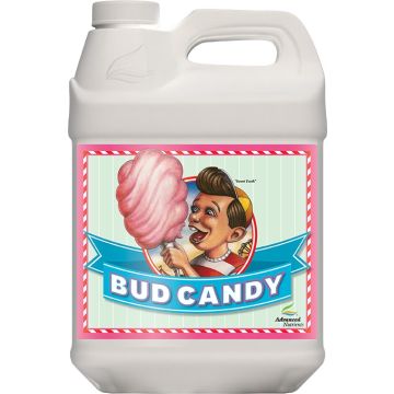 Bud Candy 4 L