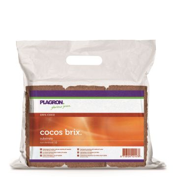 Plagron Cocos Brix 6 pcs