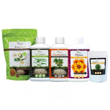 Starter Kit Organic Nutrients