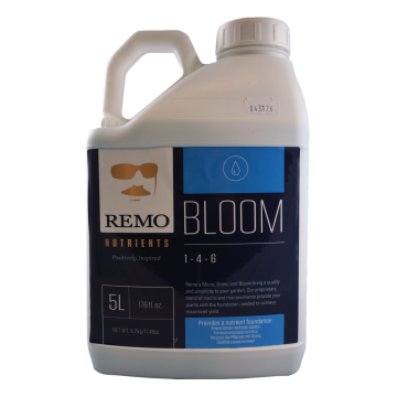 Remo Bloom  5 L