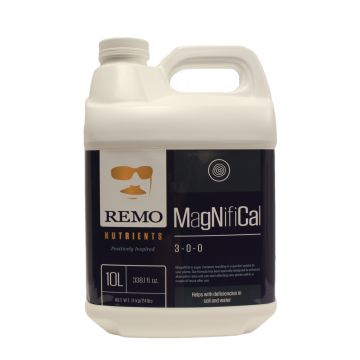 Remo MagNifiCal 10 L