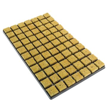 Rockwool Cubes Cultilene - Tray 77 pcs