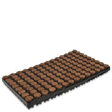 Rockwool Seedbed Tray - 126 Units