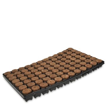 Rockwool Seedbed Tray - 84 Units